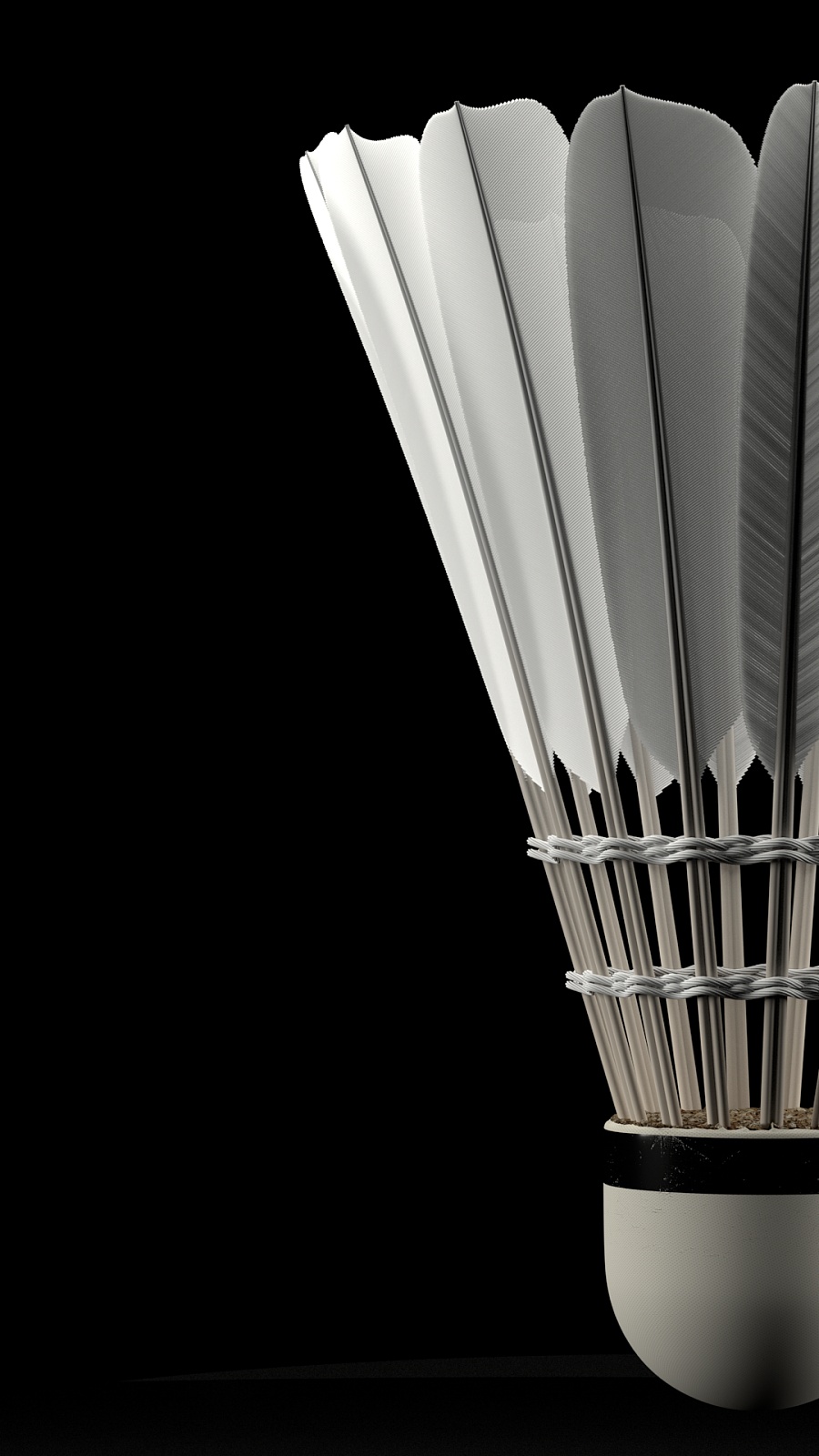 球员相比 球员相比